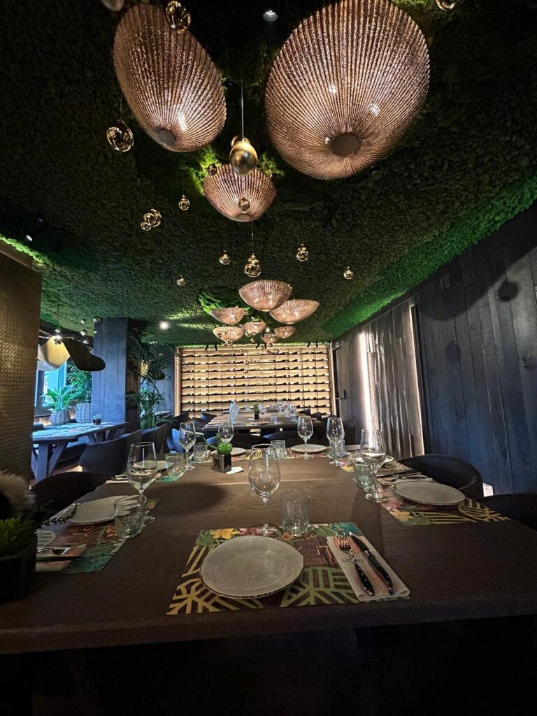 Instalación Profesional para Local Enjoy IT en Girona