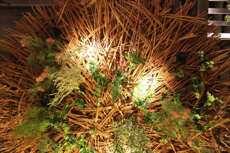 Instalación Profesional para Local Enjoy IT en La Jonquera