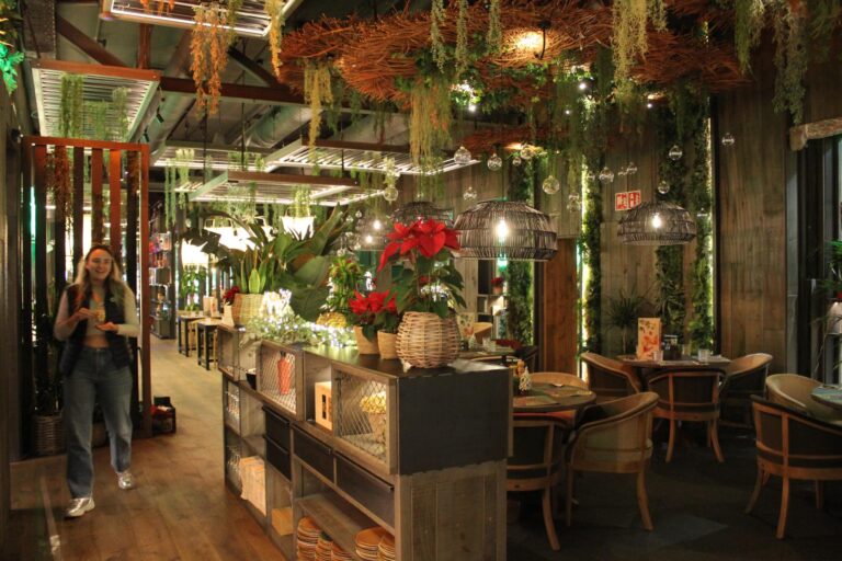 Instalación Profesional para Local Enjoy IT en La Jonquera