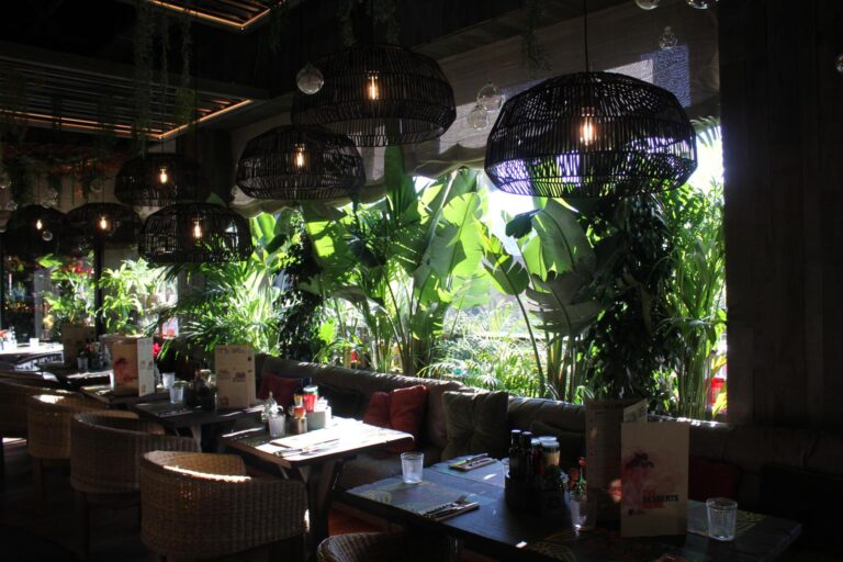 Instalación Profesional para Local Enjoy IT en La Jonquera