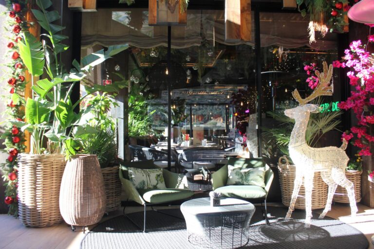 Instalación Profesional para Local Enjoy IT en La Jonquera