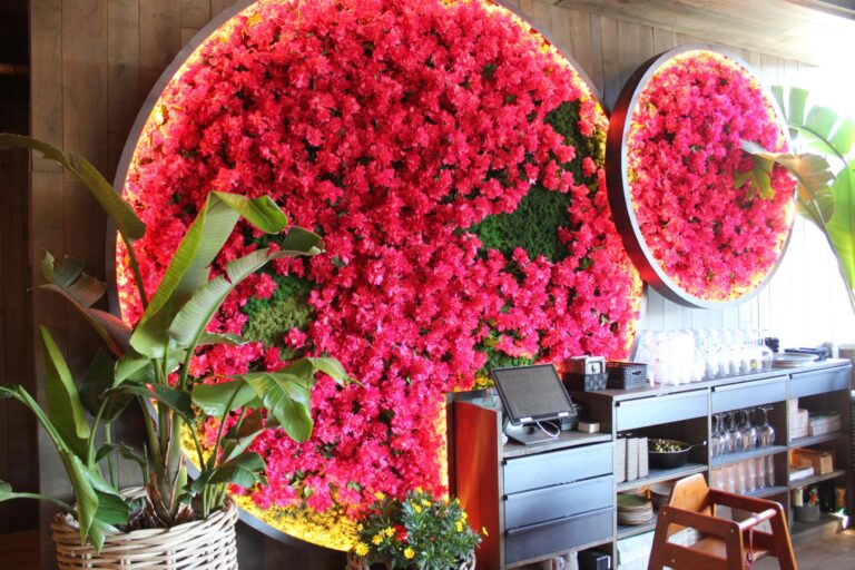 Instalación Profesional para Local Enjoy IT en La Jonquera