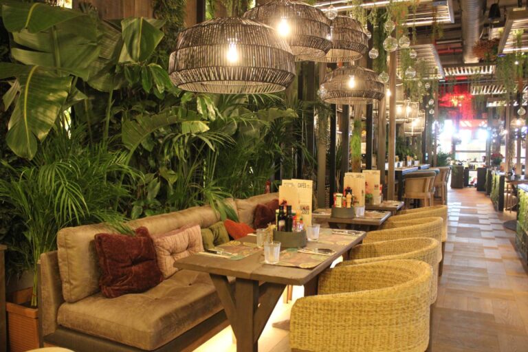 Instalación Profesional para Local Enjoy IT en La Jonquera